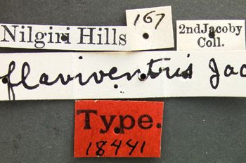 Media type: image;   Entomology 18441 Aspect: labels